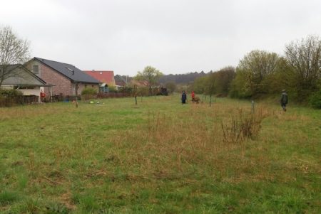 Ausgleichsfläche am Hainbuchenring