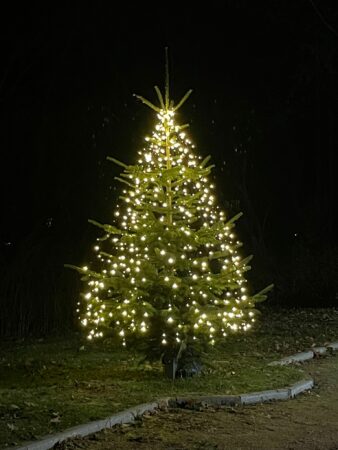 Weihnachtsbaum 2024