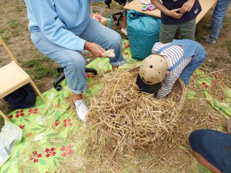 Mäuse im Stroh suchen