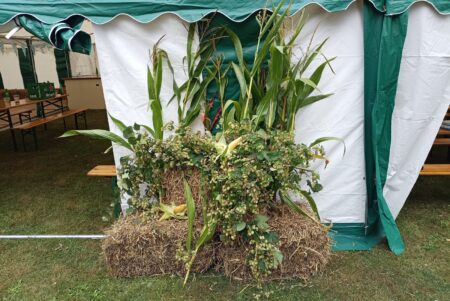 Herbstliche Dekoration